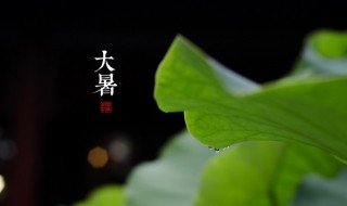 大暑是最热的一天吗 大暑是不是最热的一天