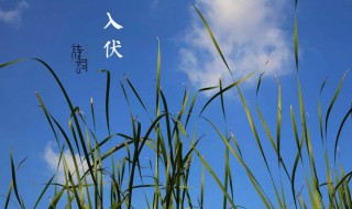 头伏是几月几号2021年（头伏是几月几号2021年几天）