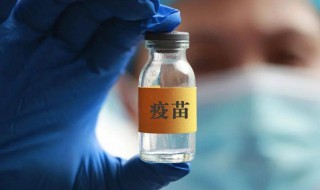 新冠疫苗第一针和第二针隔多久（新冠疫苗第一针和第二针隔多久有效）