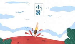 小暑代表的意思是什么短一点（小暑的代表的意思是什么）