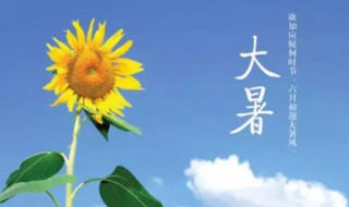 处暑和大暑哪个更热 处暑热还是大暑热