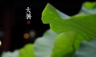 大暑什么时候结束（大暑什么时候开始）