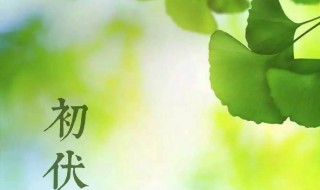 初伏有什么讲究 初伏有啥讲究