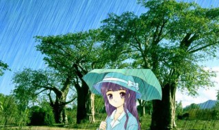 小暑下雨好还是不下雨好（大暑节下雨好还是不下雨好）