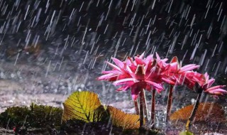 安徽梅雨季节是几月份 安徽梅雨季节是几月份到几月份结束2021年