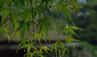 苏州梅雨季节是几月份（苏州梅雨季节是几月份到几月份结束）