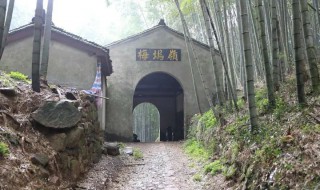 梅坞古道在哪里（梅岭古道在哪里）