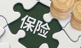 四项基本险包括什么（四项基本险是哪四项）