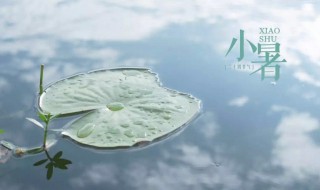 24节气小暑养生应注重什么（关于小暑节气的知识）