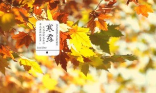 寒露节气的含义是什么以及养生技巧 寒露节气的理解