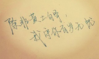 追人的情话（土味情话大全撩女朋友）