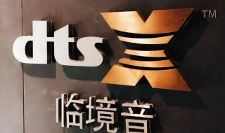 dts是什么意思