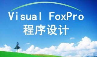vf是什么意思 vd是什么意思