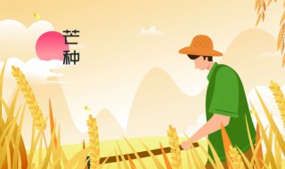 芒种做什么农活 芒种主要农事