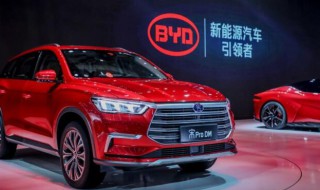 比亚迪公司简介（比亚迪公司是国企还是私企）