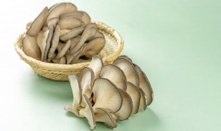 平菇如何清洗 平菇如何清洗最干净