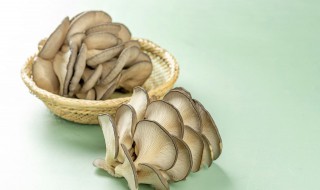 蘑菇发霉能吃吗 蘑菇发霉能吃吗会中毒吗