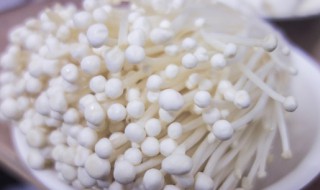 金针菇发黄还能吃吗 金针菇发黄还能吃吗 金针菇变黄能吃吗