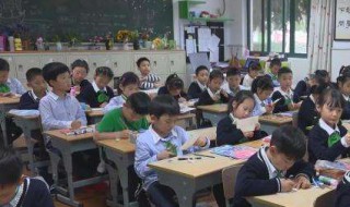 保教费是什么意思（公立幼儿园好还是私立幼儿园好）
