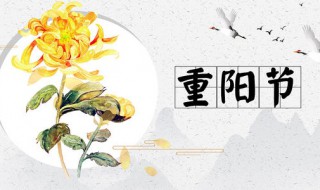 重阳节生日说说 重阳节生日说说配图