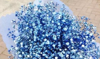 朋友生日送什么花 朋友生日送什么花价格大概多少