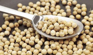 白胡椒粉的食用方法 白胡椒粉的食用方法和用量