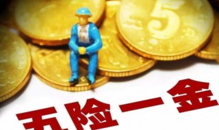 五险一金有哪些（五险一金有哪些一个月交多少钱）
