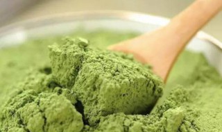 桑叶粉的功效与作用及食用方法（桑叶粉的功效与作用及食用方法禁忌）