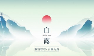 白露过后可以种什么蔬菜（白露过后能栽树吗）