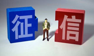 如何查询自已的征信（如何查询自已的征信记录）