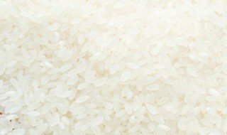 大米里有飞虫怎么处理 大米里有飞虫怎么处理最好