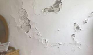 墙壁上的石灰怎么处理 墙壁上的石灰怎么去除