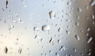 鞋上雨水痕迹怎么处理（鞋沾雨水有味道怎么快速去除）