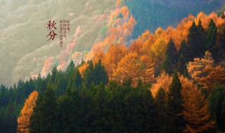 秋分谚语 秋分谚语诗句