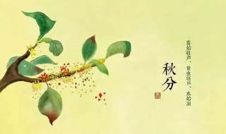 秋分什么时候（秋分什么时候开始）