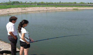 鱼杆28调什么意思 鱼杆何为28调
