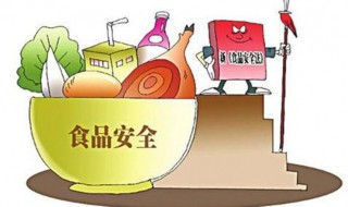 食品安全的重要性（食品安全的重要性英语作文）