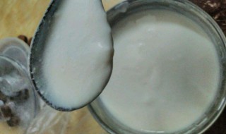 做酸奶的制作方法（纯牛奶做酸奶的制作方法）