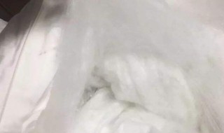 桑蚕丝的鉴别方法 桑蚕丝下水就知真假