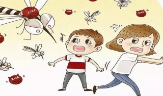 杀蚊子最好的方法 卧室杀蚊子最好的方法