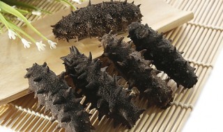 怎么选海参多少头好 如何挑选海参几头