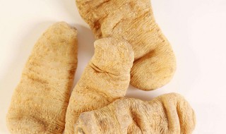 天麻的正确食用方法 天麻的正确食用方法时间