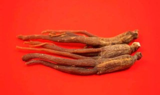 当参的功效与作用及食用方法（当参的功效与作用及食用方法是什么）