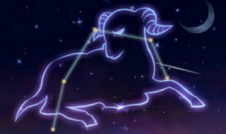 双子座和什么星座最配（狮子座和什么星座最配）