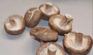 菘茸怎么保存 怎样保存松茸比损会破坏它的营养价值