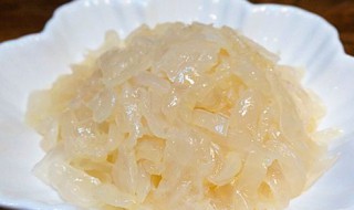 怎么保存新鲜海蜇（怎么保存新鲜海蜇头不变质）