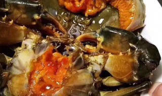 青膏蟹该怎么保存 青膏蟹该怎么保存时间长