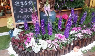 新手如何开花店 新手如何开花店网络