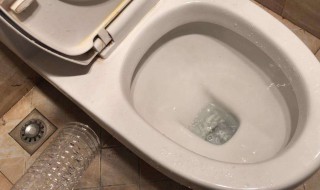 马桶堵了最快的办法 马桶堵了最快的办法用热水等几分钟