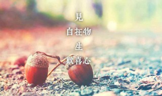 半夜发朋友圈的短句子（半夜发朋友圈的短句子逗比）